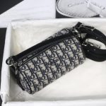 Dior Roller Bag