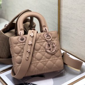 Dior Lady 20 Bag