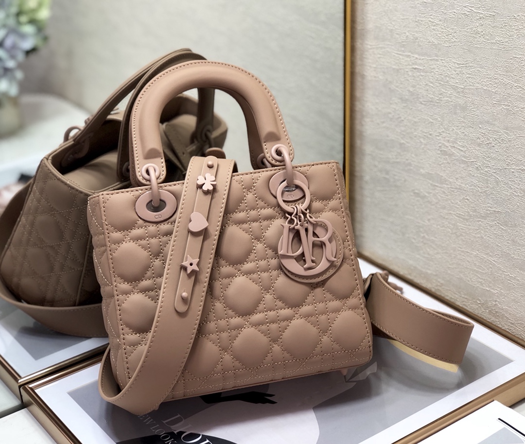 Dior Lady 20 Bag