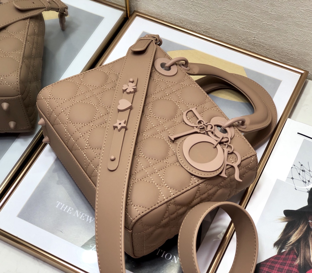 Dior Lady 20 Bag - Image 5