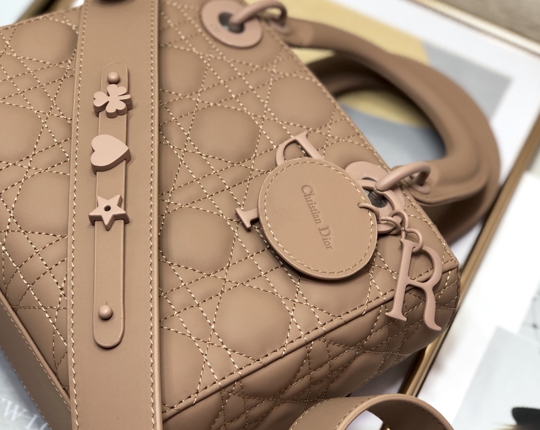 Dior Lady 20 Bag - Image 6