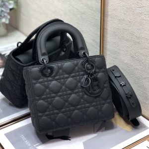 Dior Lady 20 Bag