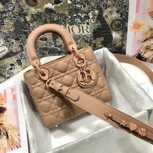 Dior 6 Lady Bag