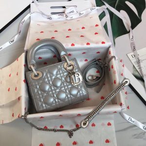 Dior 5 Lady Bag