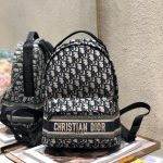 Dior Oblique Bag