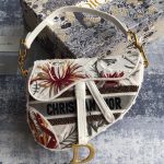 Dior Saddle 6 Bag