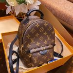 Louis Vuitton Palm Springs Mini Bag