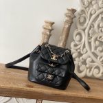 Chanel 2022 Duma Bag