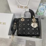 Dior Lady My Abcdior Bag
