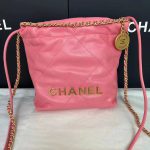 Chanel Women's Handbag 2023 Ss