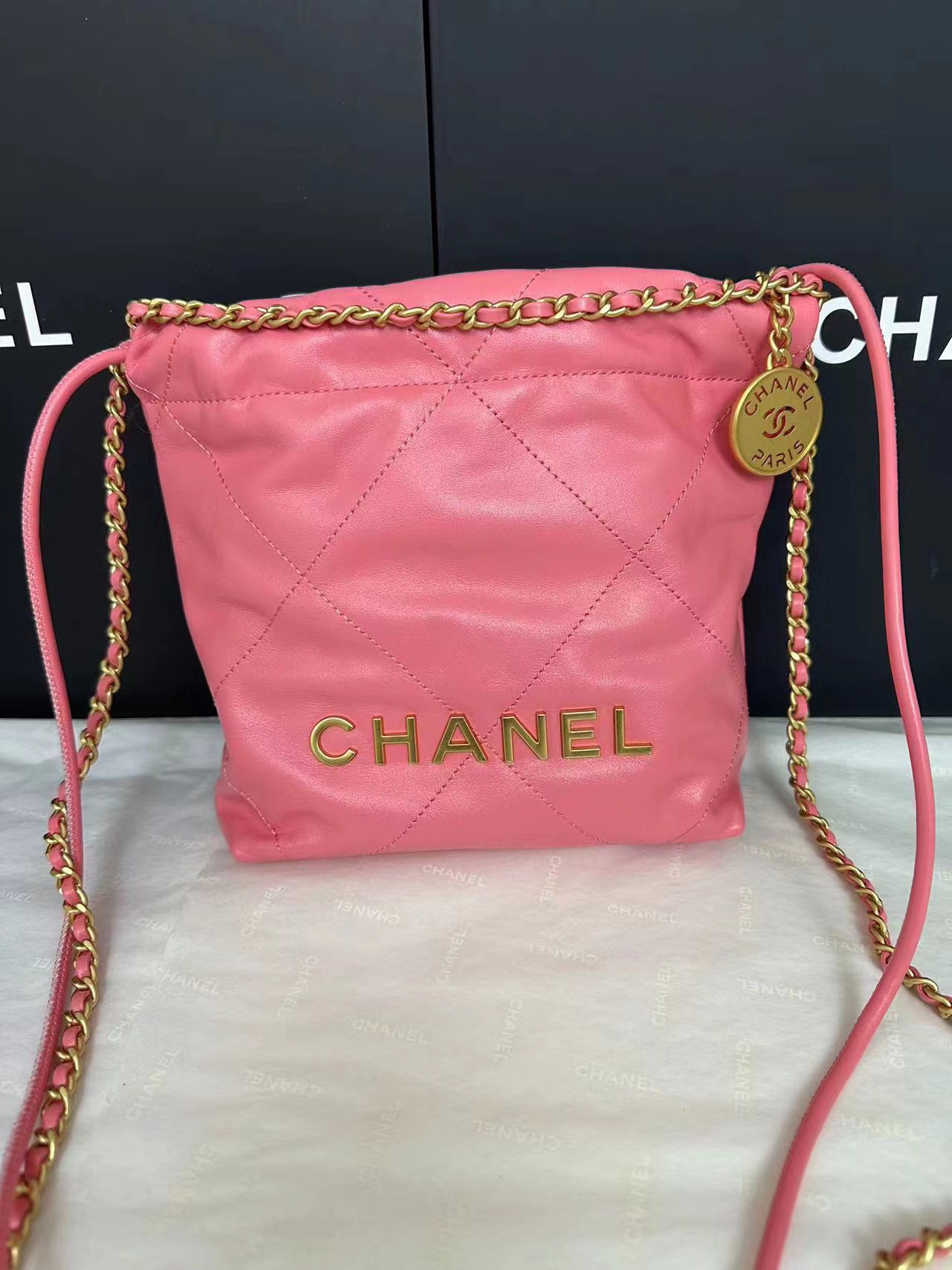Chanel Women's Handbag 2023 Ss