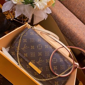 Louis Vuitton Favorite MM Bag