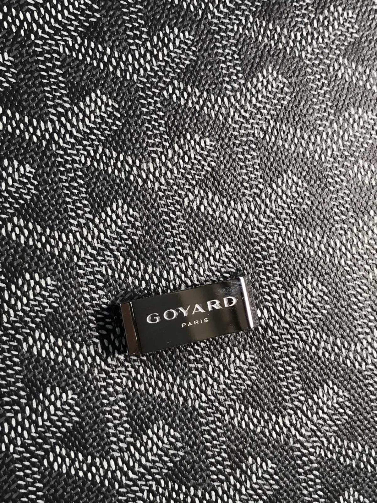 Goyard Belvédère Bag — Pointed Detail, Grey - Image 6